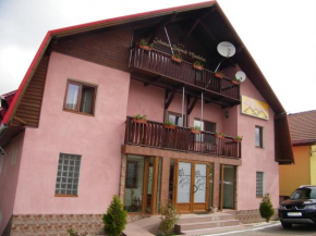 Гостиница Vi La Ski Petrosani  Петрошани